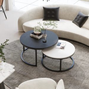 Twin Orbit Coffee Table